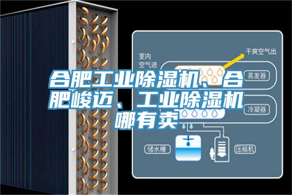合肥工業(yè)除濕機(jī)、合肥峻邁、工業(yè)除濕機(jī)哪有賣