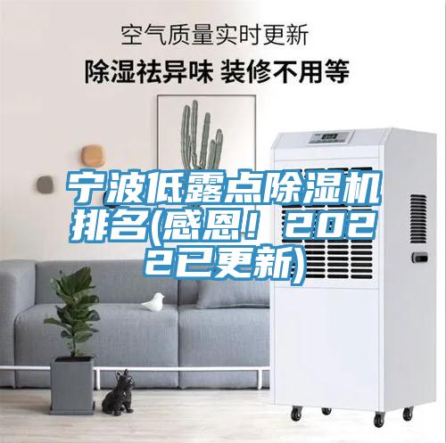 寧波低露點(diǎn)除濕機(jī)排名(感恩！2022已更新)
