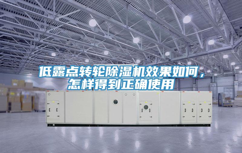 低露點(diǎn)轉(zhuǎn)輪除濕機(jī)效果如何，怎樣得到正確使用