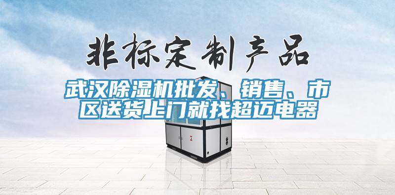 武漢除濕機(jī)批發(fā)、銷售、市區(qū)送貨上門就找超邁電器