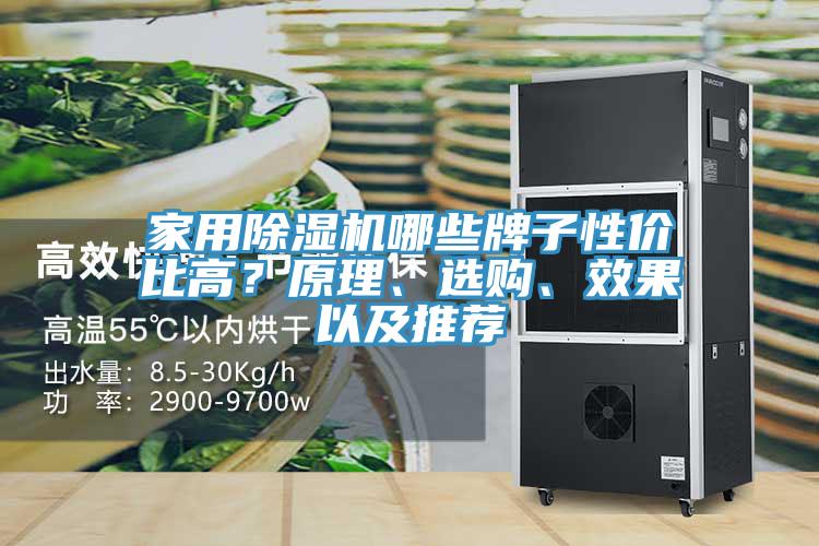 家用除濕機(jī)哪些牌子性價(jià)比高？原理、選購(gòu)、效果以及推薦