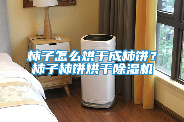柿子怎么烘干成柿餅？柿子柿餅烘干除濕機