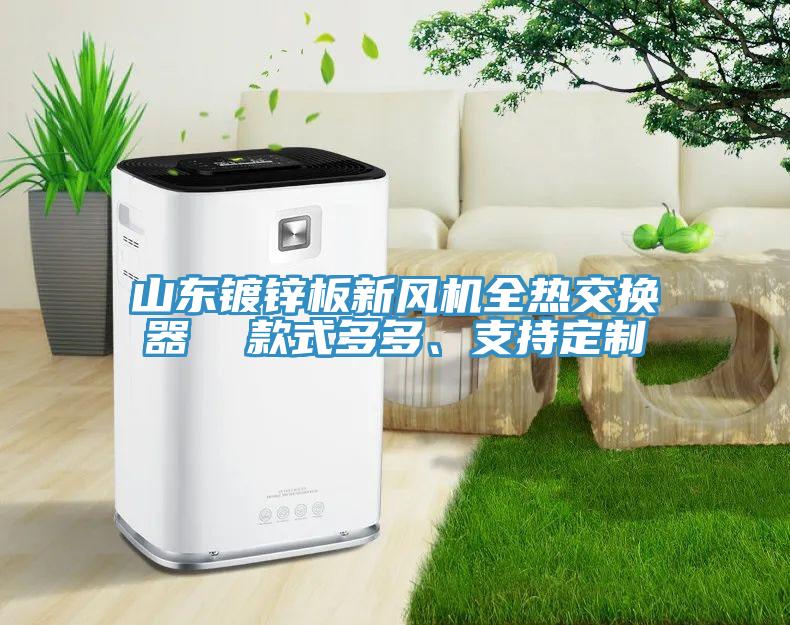 山東鍍鋅板新風(fēng)機(jī)全熱交換器  款式多多、支持定制