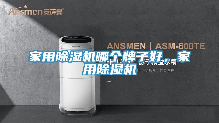 家用除濕機哪個牌子好，家用除濕機