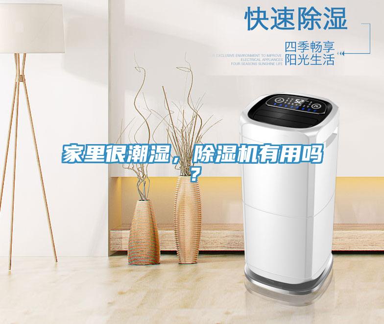 家里很潮濕，除濕機(jī)有用嗎？
