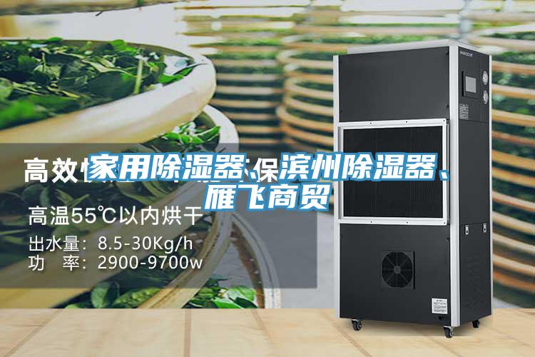 家用除濕器、濱州除濕器、雁飛商貿(mào)