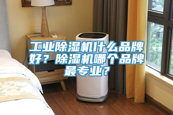 工業(yè)除濕機(jī)什么品牌好？除濕機(jī)哪個品牌最專業(yè)？