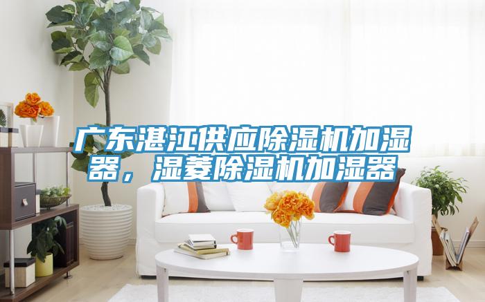 廣東湛江供應(yīng)除濕機加濕器，濕菱除濕機加濕器