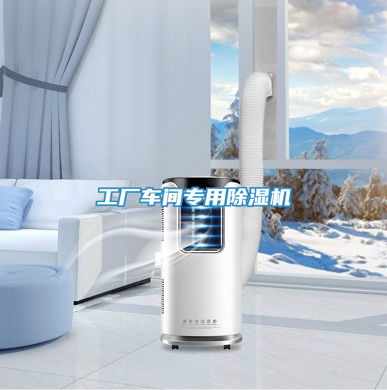 工廠(chǎng)車(chē)間專(zhuān)用除濕機(jī)