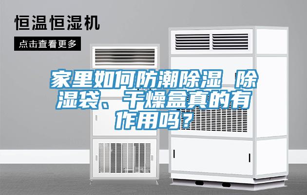 家里如何防潮除濕 除濕袋、干燥盒真的有作用嗎？
