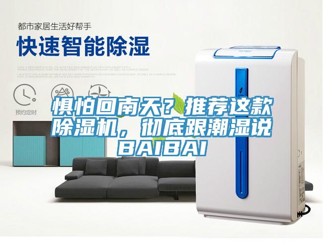 懼怕回南天？推薦這款除濕機，徹底跟潮濕說BAIBAI
