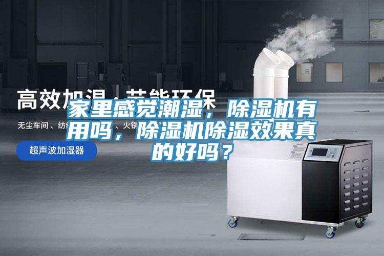 家里感覺潮濕，除濕機(jī)有用嗎，除濕機(jī)除濕效果真的好嗎？