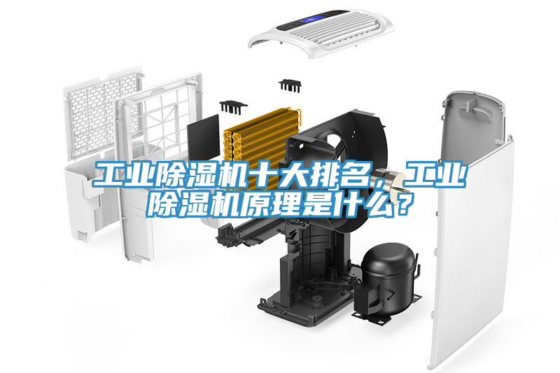 工業(yè)除濕機(jī)十大排名，工業(yè)除濕機(jī)原理是什么？