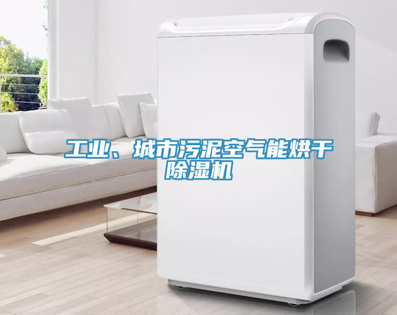 工業(yè)、城市污泥空氣能烘干除濕機(jī)