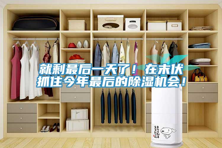 就剩最后一天了！在末伏抓住今年最后的除濕機(jī)會(huì)！