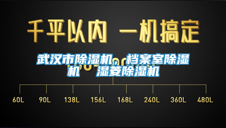武漢市除濕機(jī)，檔案室除濕機(jī)  濕菱除濕機(jī)
