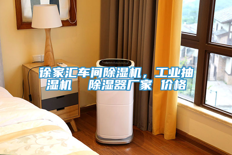 徐家匯車間除濕機，工業(yè)抽濕機  除濕器廠家 價格