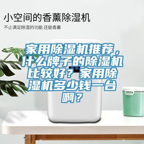 家用除濕機(jī)推薦，什么牌子的除濕機(jī)比較好？家用除濕機(jī)多少錢一臺(tái)??？