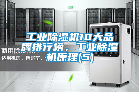 工業(yè)除濕機(jī)10大品牌排行榜，工業(yè)除濕機(jī)原理(5)