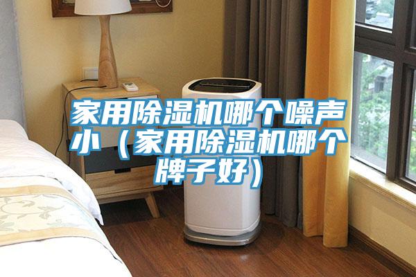 家用除濕機哪個噪聲?。矣贸凉駲C哪個牌子好）