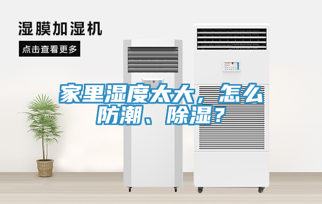 家里濕度太大，怎么防潮、除濕？