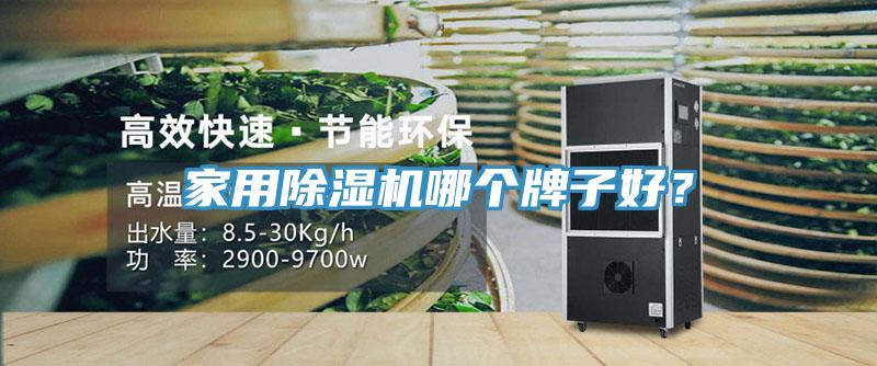 家用除濕機哪個牌子好？
