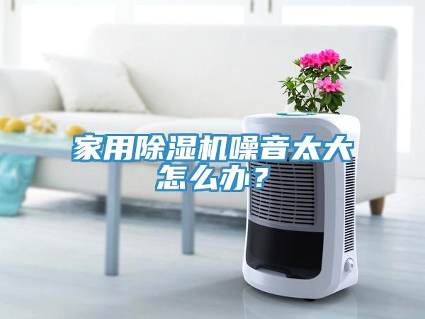 家用除濕機(jī)噪音太大怎么辦？