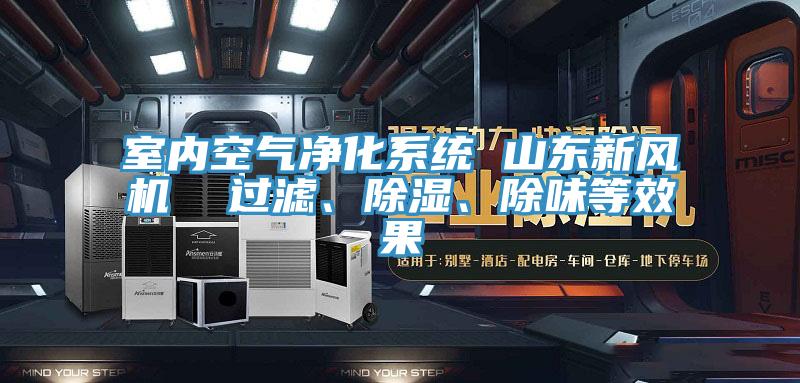 室內(nèi)空氣凈化系統(tǒng) 山東新風(fēng)機(jī)  過濾、除濕、除味等效果