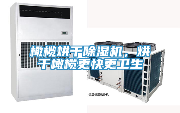 橄欖烘干除濕機(jī)，烘干橄欖更快更衛(wèi)生