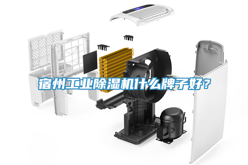 宿州工業(yè)除濕機(jī)什么牌子好？