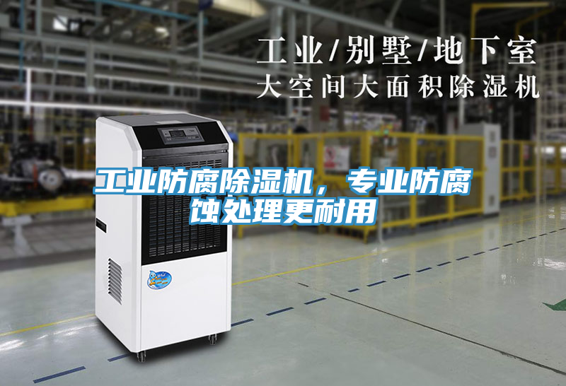 工業(yè)防腐除濕機，專業(yè)防腐蝕處理更耐用