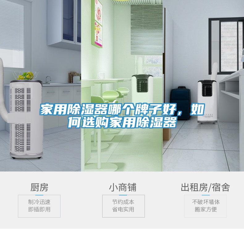 家用除濕器哪個(gè)牌子好，如何選購家用除濕器