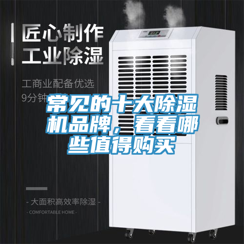 常見的十大除濕機(jī)品牌，看看哪些值得購(gòu)買