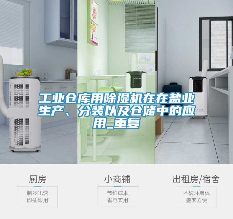 工業(yè)倉庫用除濕機(jī)在在鹽業(yè)生產(chǎn)、分裝以及倉儲(chǔ)中的應(yīng)用_重復(fù)