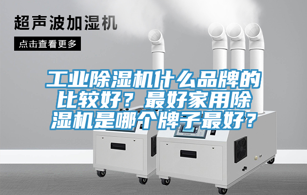 工業(yè)除濕機(jī)什么品牌的比較好？最好家用除濕機(jī)是哪個牌子最好？