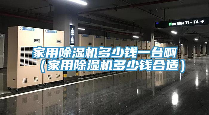 家用除濕機(jī)多少錢一臺?。矣贸凉駲C(jī)多少錢合適）