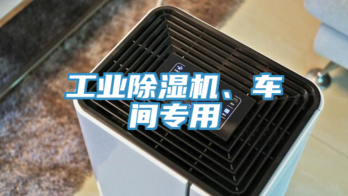 工業(yè)除濕機(jī)、車(chē)間專(zhuān)用
