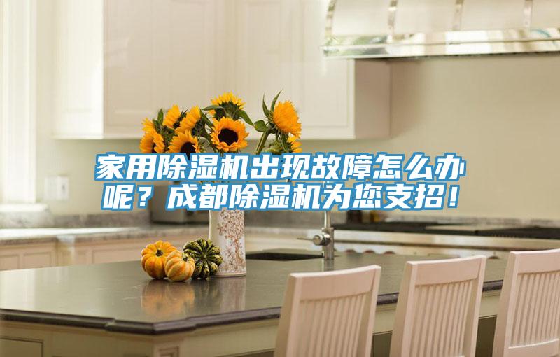 家用除濕機出現(xiàn)故障怎么辦呢？成都除濕機為您支招！