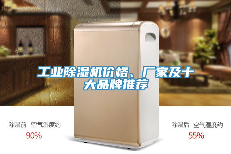 工業(yè)除濕機價格、廠家及十大品牌推薦
