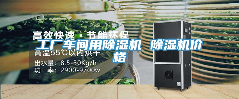 工廠(chǎng)車(chē)間用除濕機(jī) 除濕機(jī)價(jià)格