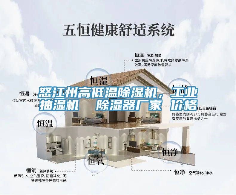 怒江州高低溫除濕機，工業(yè)抽濕機  除濕器廠家 價格