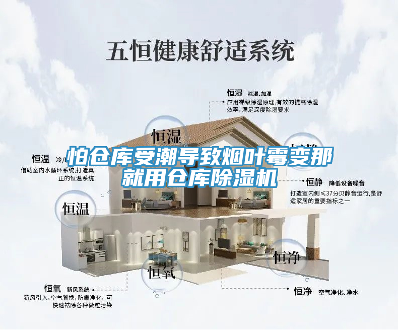 怕倉庫受潮導(dǎo)致煙葉霉變那就用倉庫除濕機