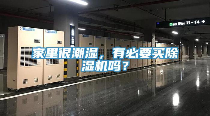 家里很潮濕，有必要買除濕機(jī)嗎？