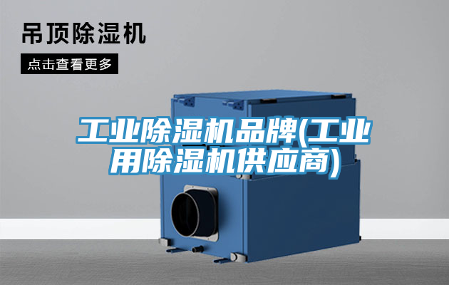 工業(yè)除濕機品牌(工業(yè)用除濕機供應(yīng)商)