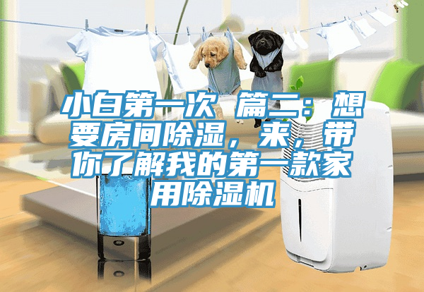 小白第一次 篇二：想要房間除濕，來(lái)，帶你了解我的第一款家用除濕機(jī)