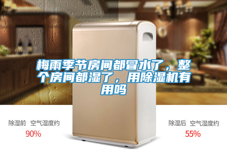 梅雨季節(jié)房間都冒水了，整個(gè)房間都濕了，用除濕機(jī)有用嗎