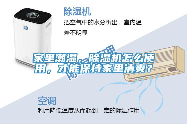 家里潮濕，除濕機怎么使用，才能保持家里清爽？