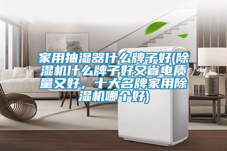 家用抽濕器什么牌子好(除濕機(jī)什么牌子好又省電質(zhì)量又好，十大名牌家用除濕機(jī)哪個(gè)好)