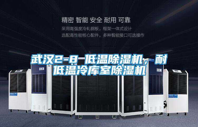 武漢2-8℃低溫除濕機(jī)，耐低溫冷庫(kù)室除濕機(jī)