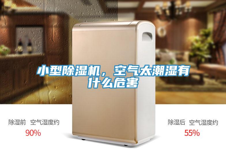 小型除濕機(jī)，空氣太潮濕有什么危害